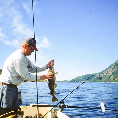 4 Star In Semesterbostad *