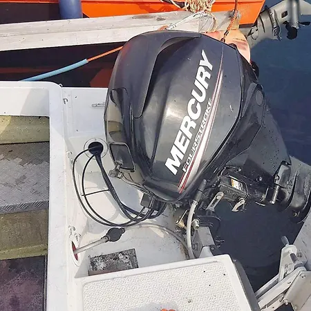 Semesterbostad 4 Star In *