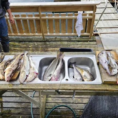 4 Star In Naustbukta