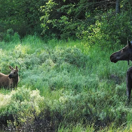 4 Star In Semesterbostad